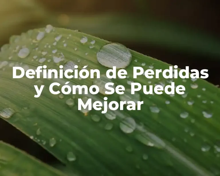 Definición de Perdidas y Cómo Se Puede Mejorar