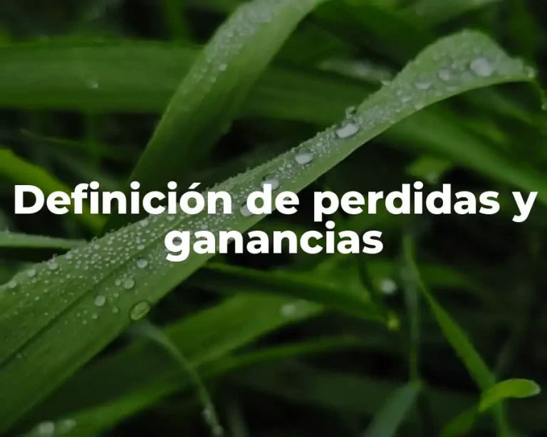 Definición de perdidas y ganancias