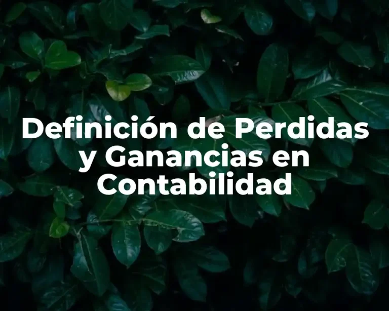 Definición de Perdidas y Ganancias en Contabilidad