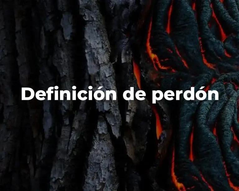 Definición de perdón