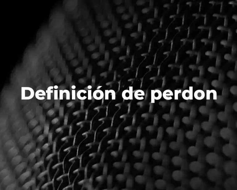 Definición de perdon