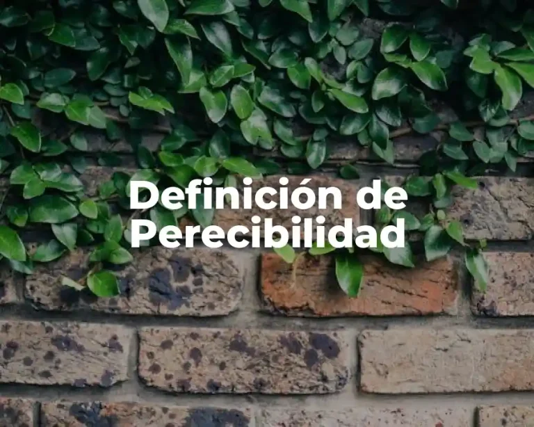 Definición de Perecibilidad