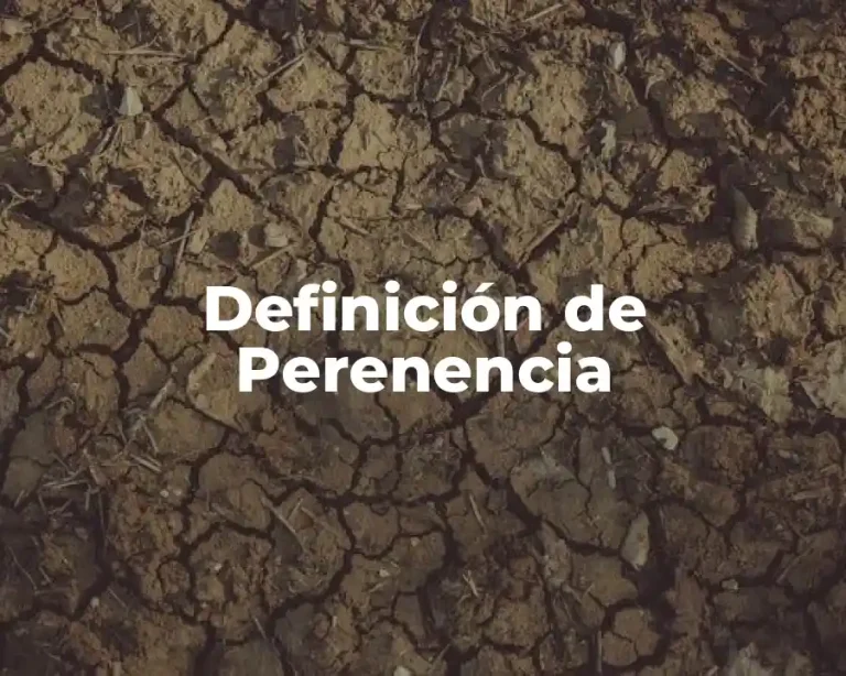 Definición de Perenencia