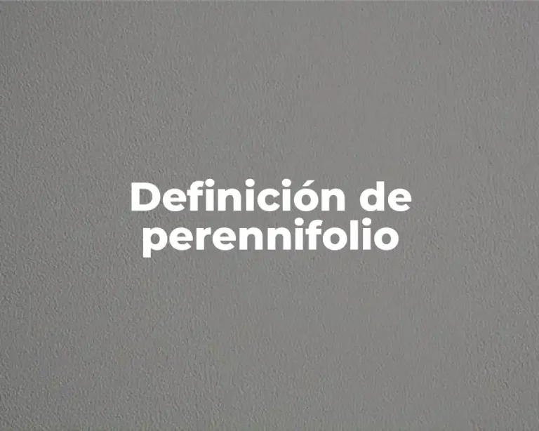 Definición de perennifolio