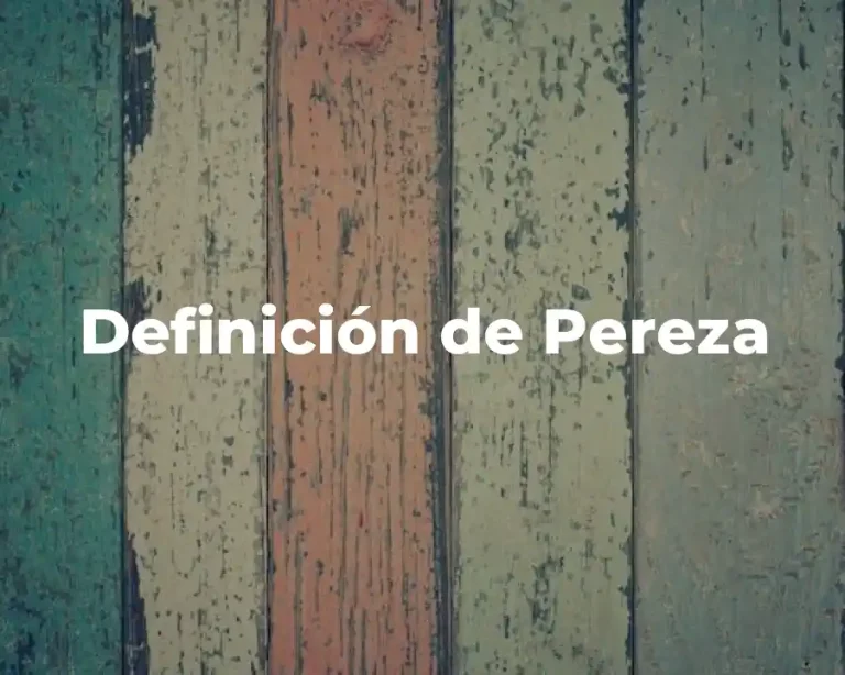 Definición de Pereza