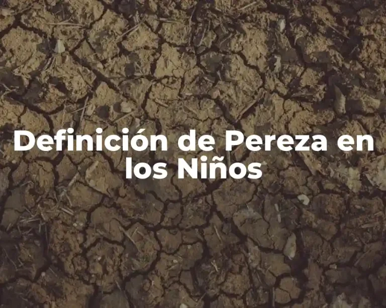 Definición de Pereza en los Niños