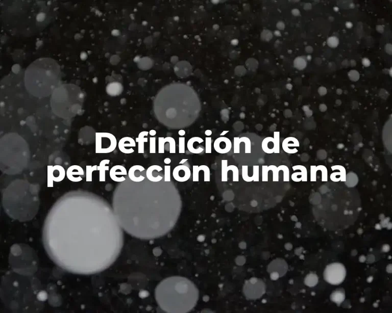 Definición de perfección humana