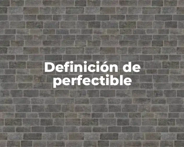Definición de perfectible