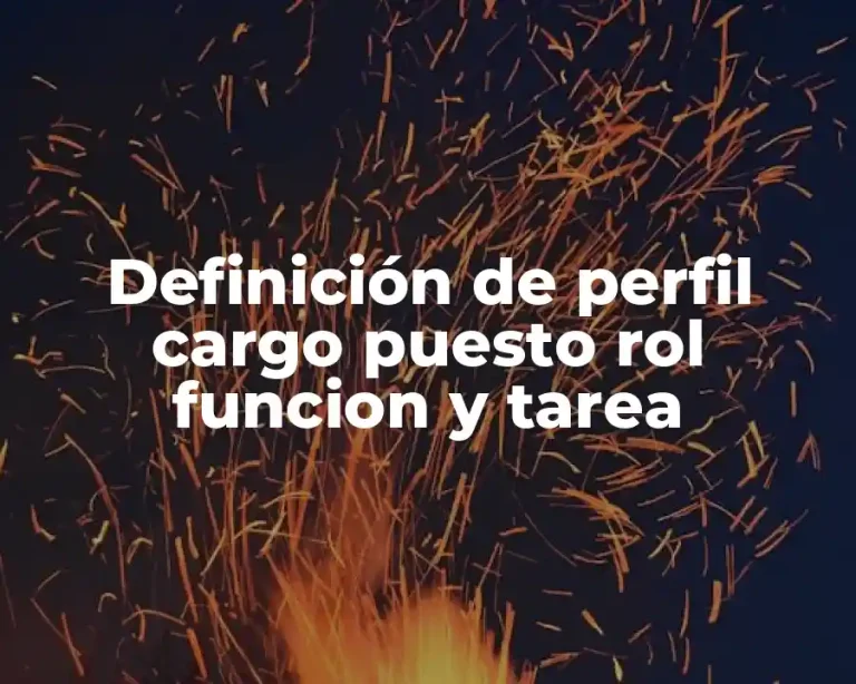 Definición de perfil cargo puesto rol funcion y tarea