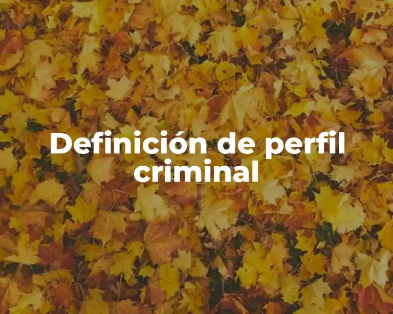 Definición de perfil criminal