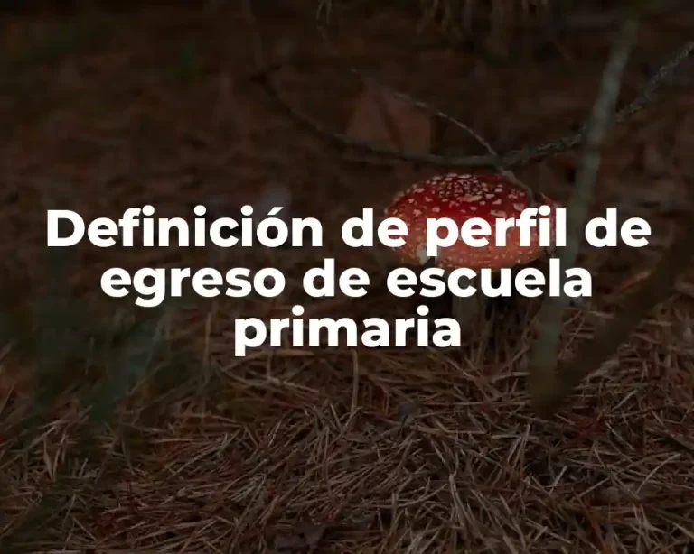 Definición de perfil de egreso de escuela primaria