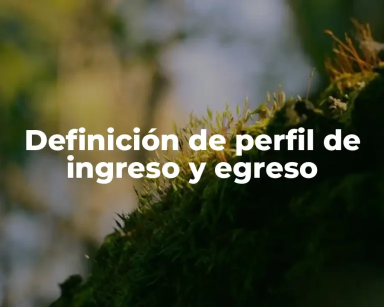 Definición de perfil de ingreso y egreso