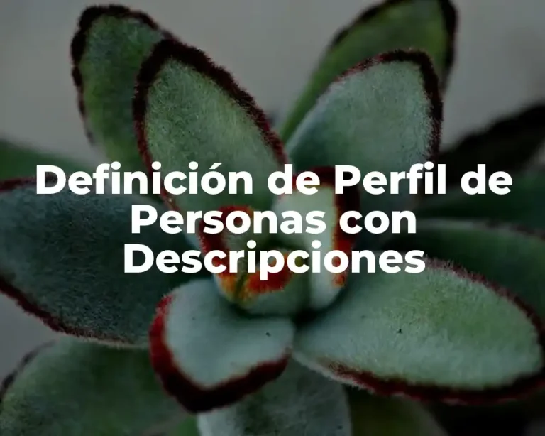 Definición de Perfil de Personas con Descripciones