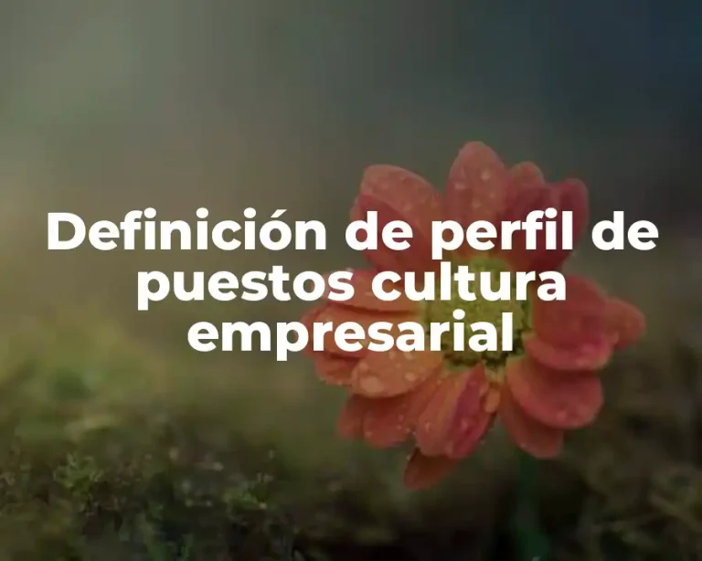 Definición de perfil de puestos cultura empresarial
