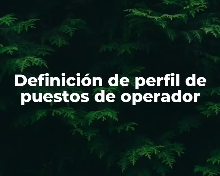 Definición de perfil de puestos de operador