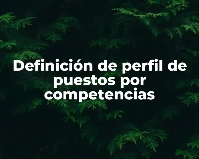 Definición de perfil de puestos por competencias