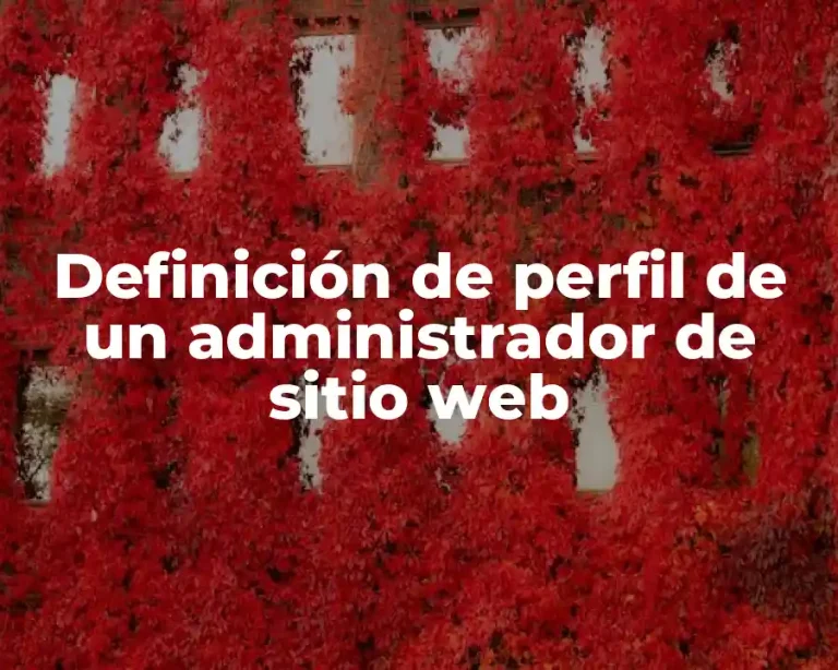 Definición de perfil de un administrador de sitio web