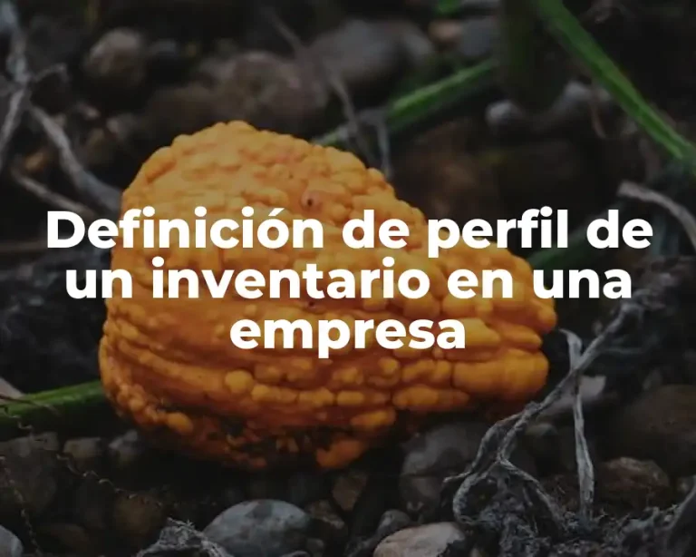 Definición de perfil de un inventario en una empresa