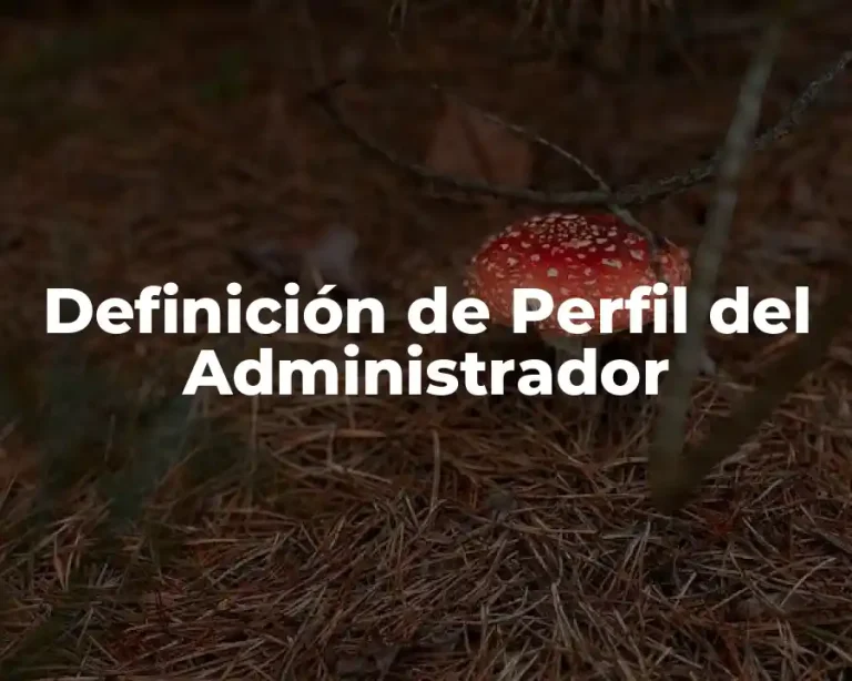 Definición de Perfil del Administrador