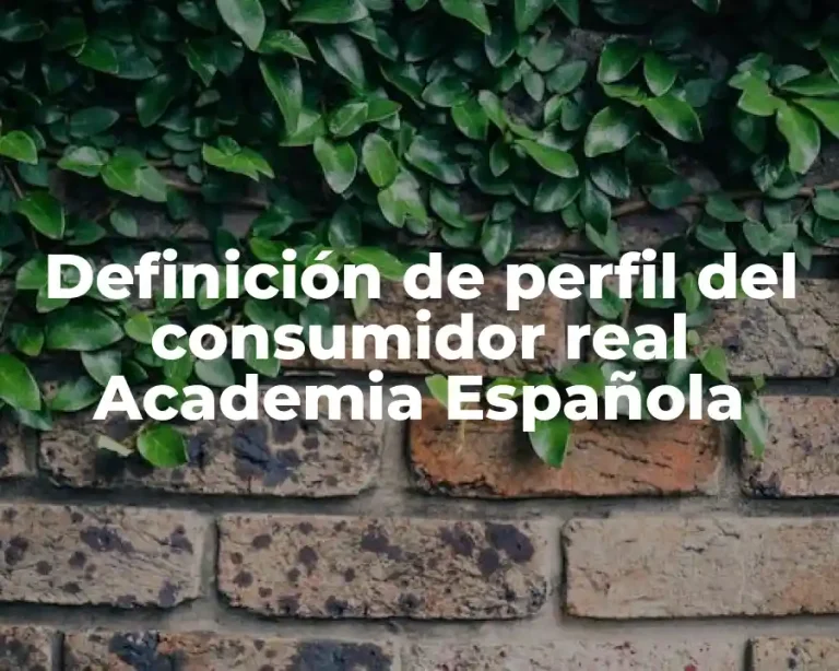 Definición de perfil del consumidor real Academia Española