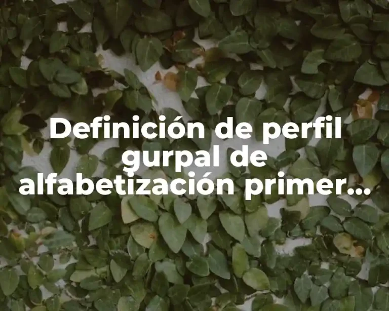 Definición de perfil gurpal de alfabetización primer grado de primaria