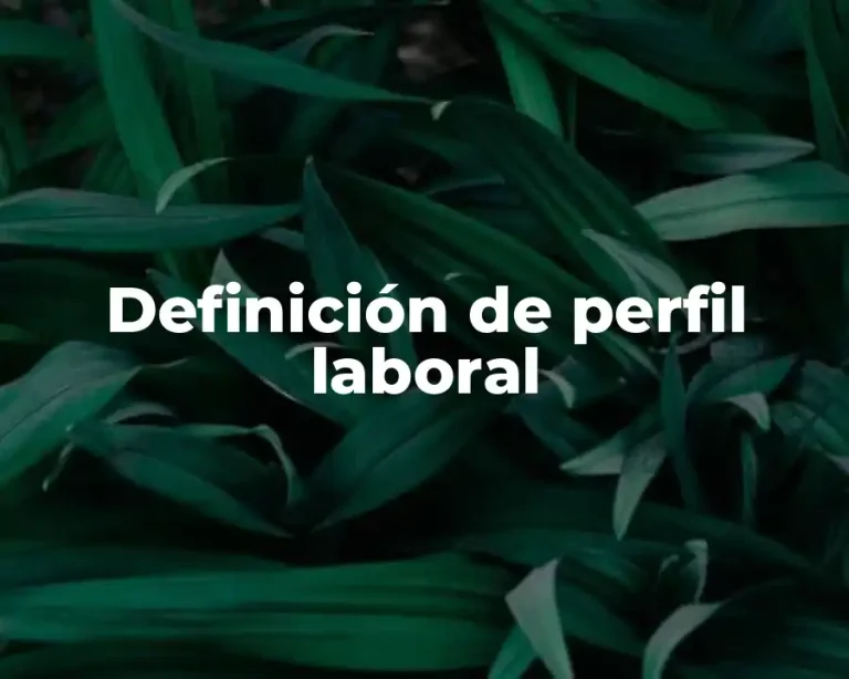 Definición de perfil laboral