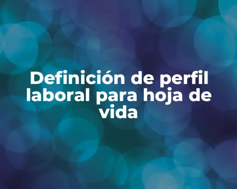 Definición de perfil laboral para hoja de vida