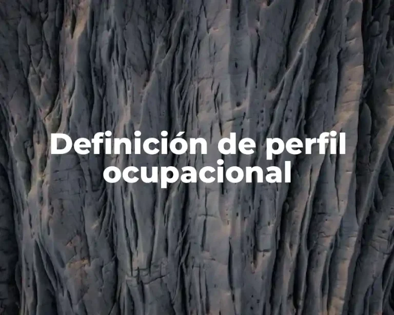 Definición de perfil ocupacional