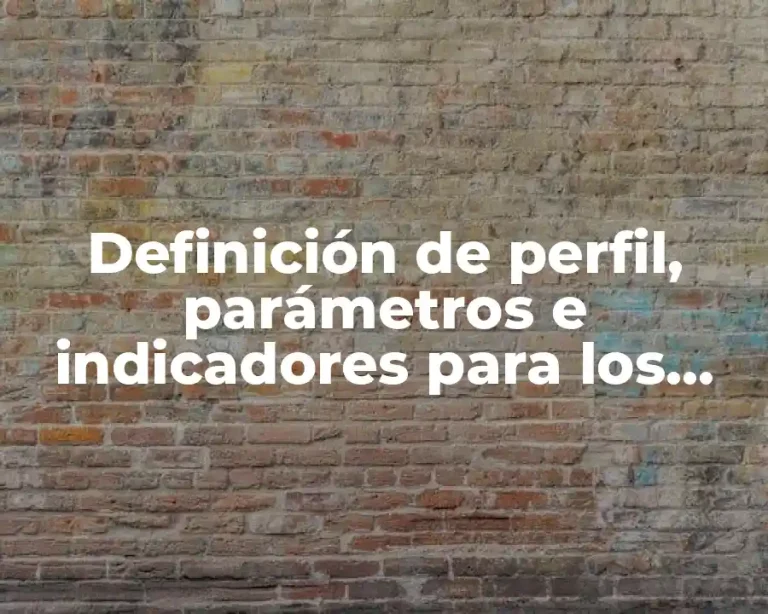 Definición de perfil, parámetros e indicadores para los docentes