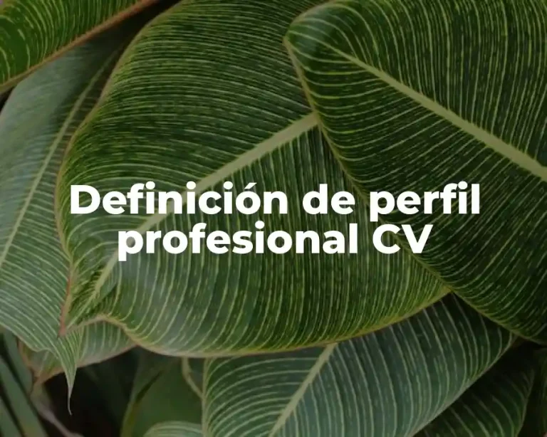 Definición de perfil profesional CV