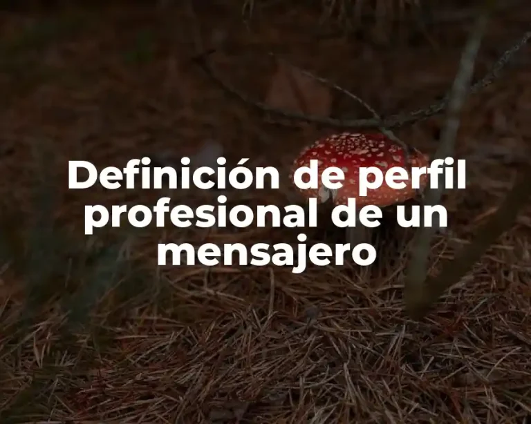 Definición de perfil profesional de un mensajero