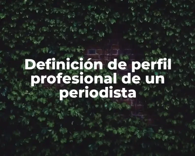 Definición de perfil profesional de un periodista
