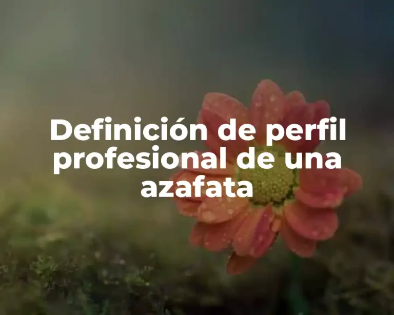 Definición de perfil profesional de una azafata