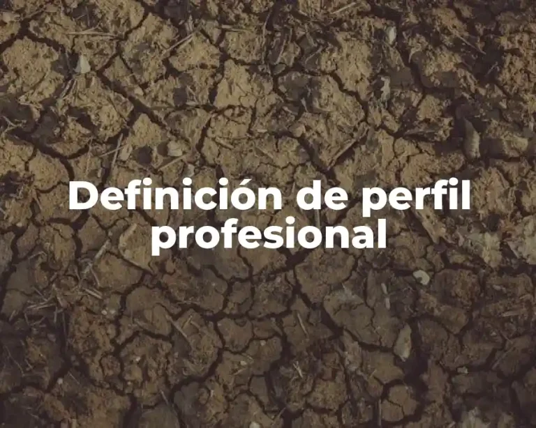 Definición de perfil profesional