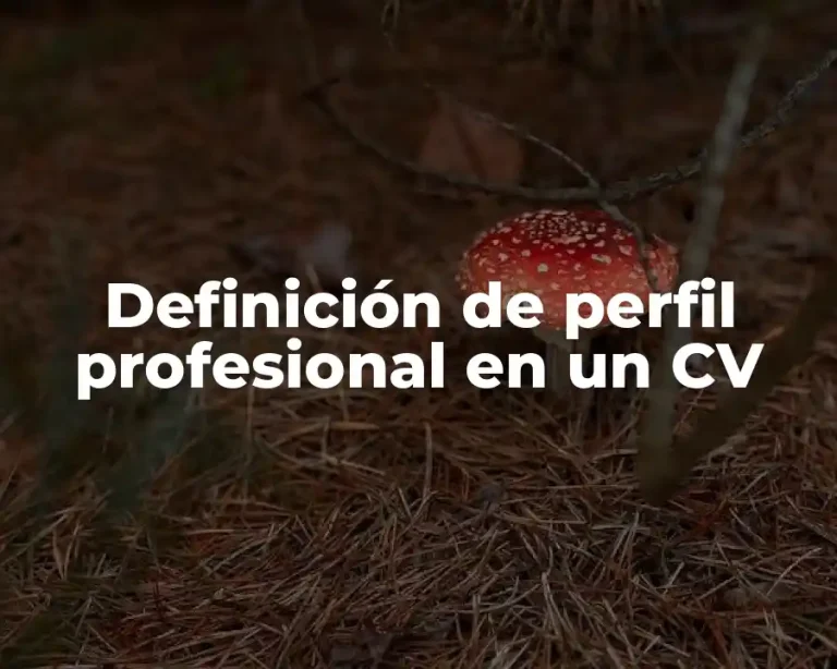 Definición de perfil profesional en un CV