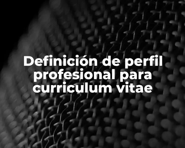 Definición de perfil profesional para curriculum vitae