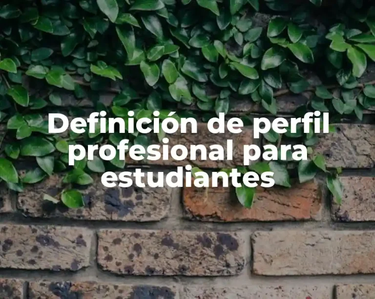 Definición de perfil profesional para estudiantes