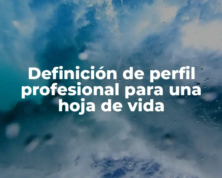 Definición de perfil profesional para una hoja de vida
