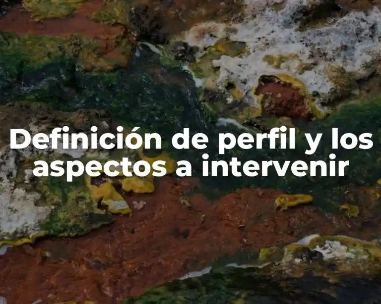 Definición de perfil y los aspectos a intervenir