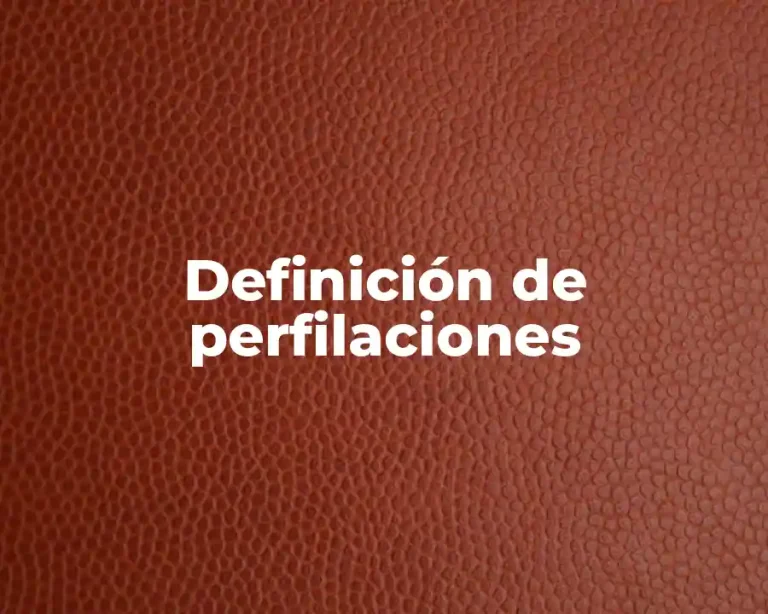 Definición de perfilaciones
