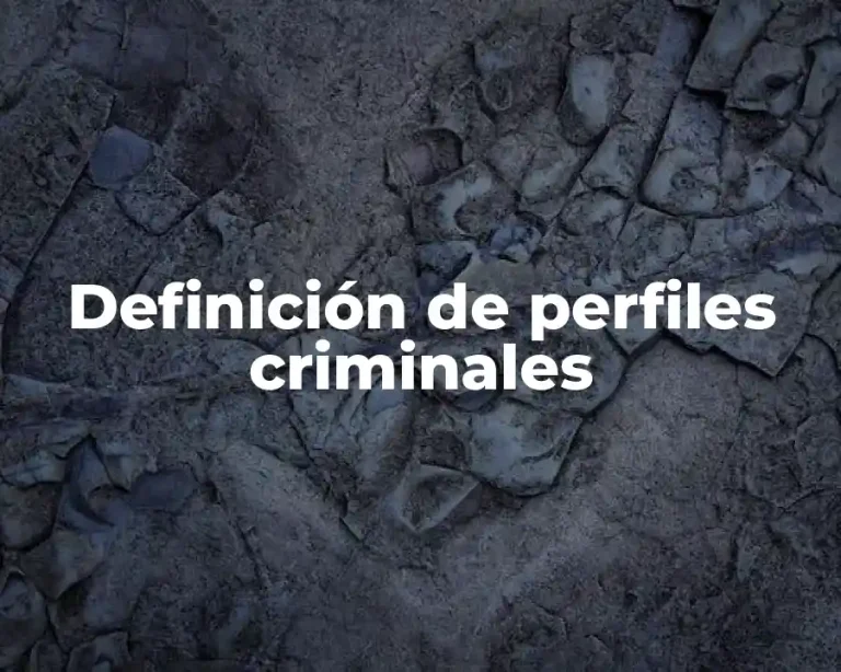 Definición de perfiles criminales