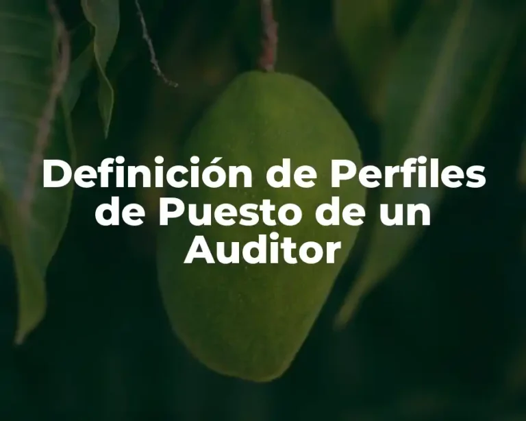 Definición de Perfiles de Puesto de un Auditor