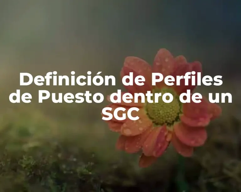 Definición de Perfiles de Puesto dentro de un SGC