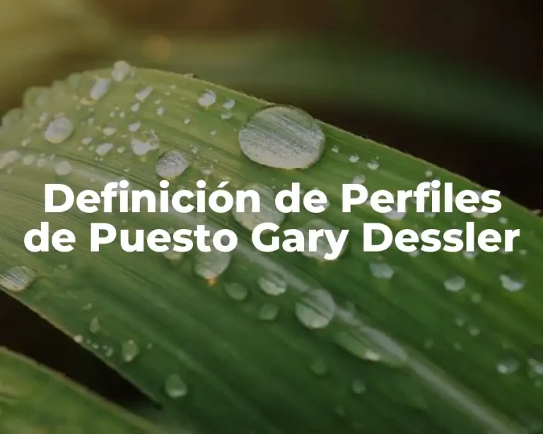 Definición de Perfiles de Puesto Gary Dessler