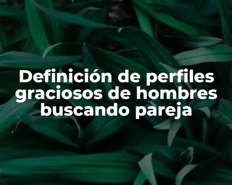 Definición de perfiles graciosos de hombres buscando pareja