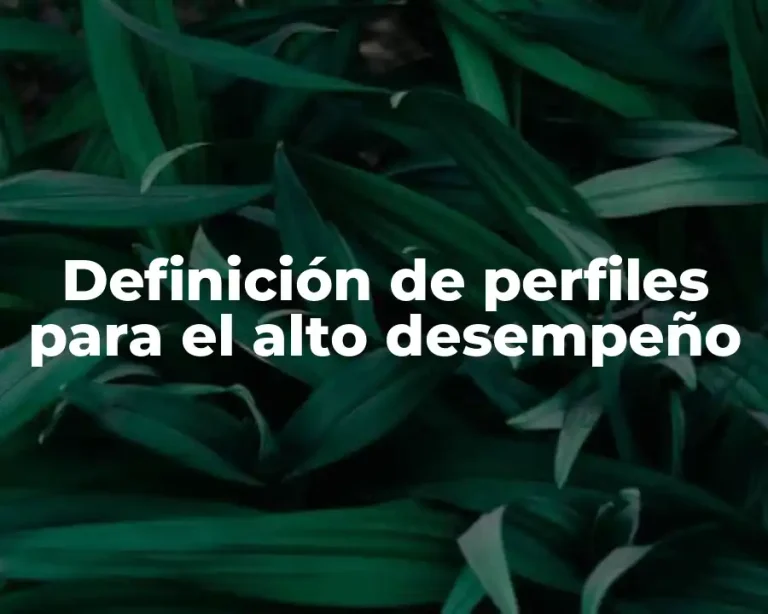 Definición de perfiles para el alto desempeño