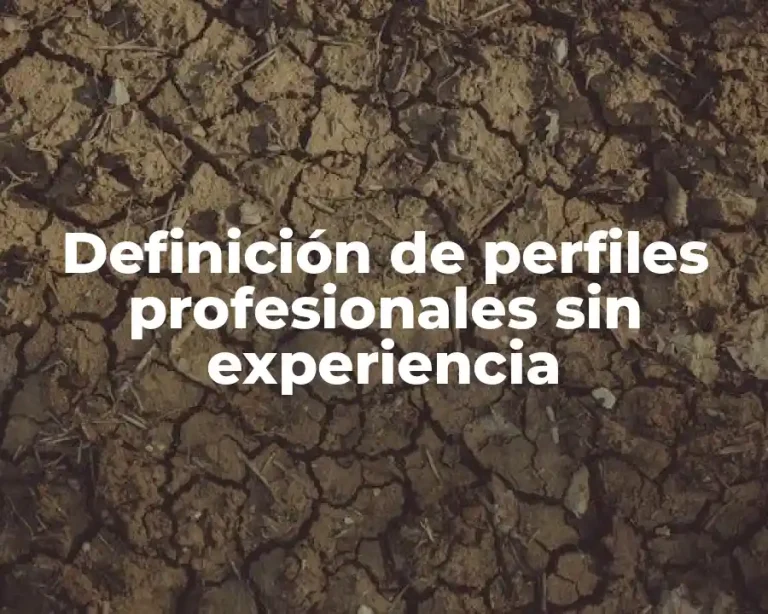 Definición de perfiles profesionales sin experiencia