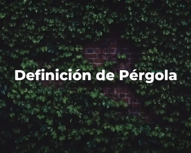 Definición de Pérgola
