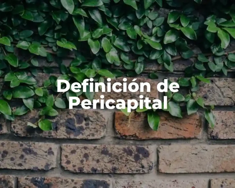 Definición de Pericapital