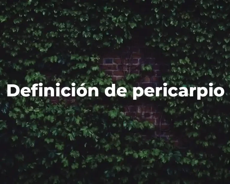 Definición de pericarpio